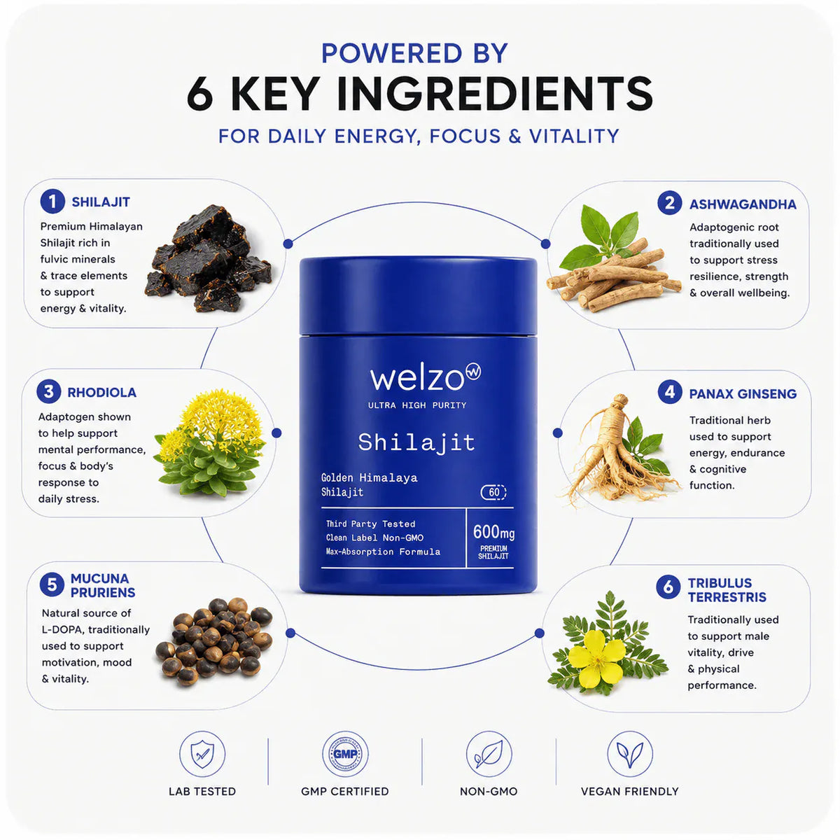 Welzo men's hormone test bundle TestoMax shilajit – view 4