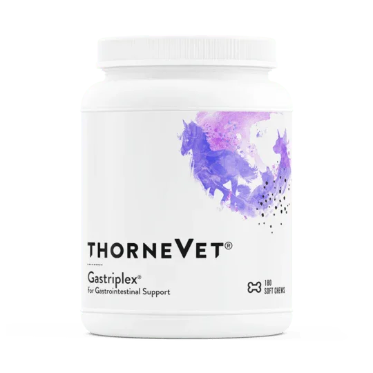 Gastriplex, Gastrointestinal Support, 180 Soft chews - Thorne - welzo