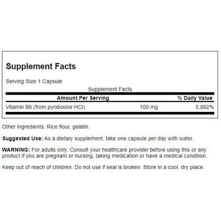 Swanson Vitamin B6 Pyridoxine 100mg Capsules