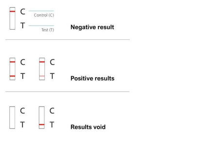 DO I NEED AN RT-PCR OR RAPID ANTIGEN TEST? - Official Rapid Tests