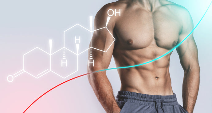 How to Test Testosterone Levels in the UK
