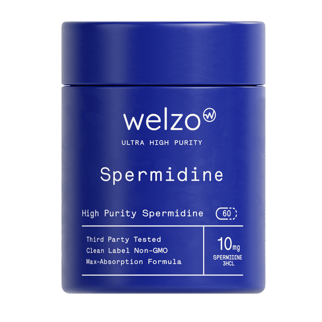 Ultra Purity Spermidine capsules for cellular renewal