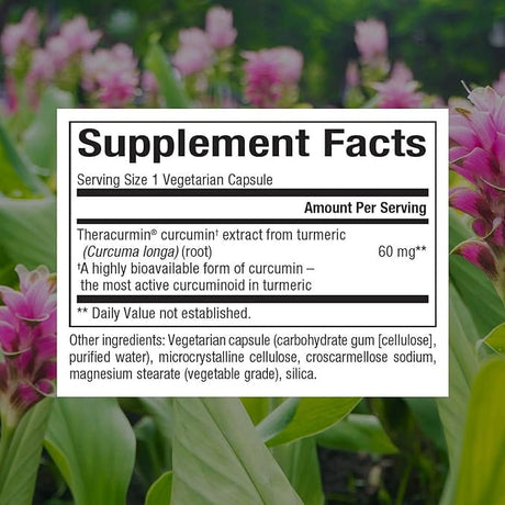 Natural Factors CurcuminRich, Theracurmin, 60 Veggie Caps