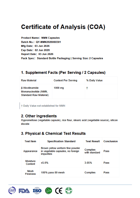 Welzo Platinum Longevity bundle full-body MOT NMN resveratrol TMG – view 18