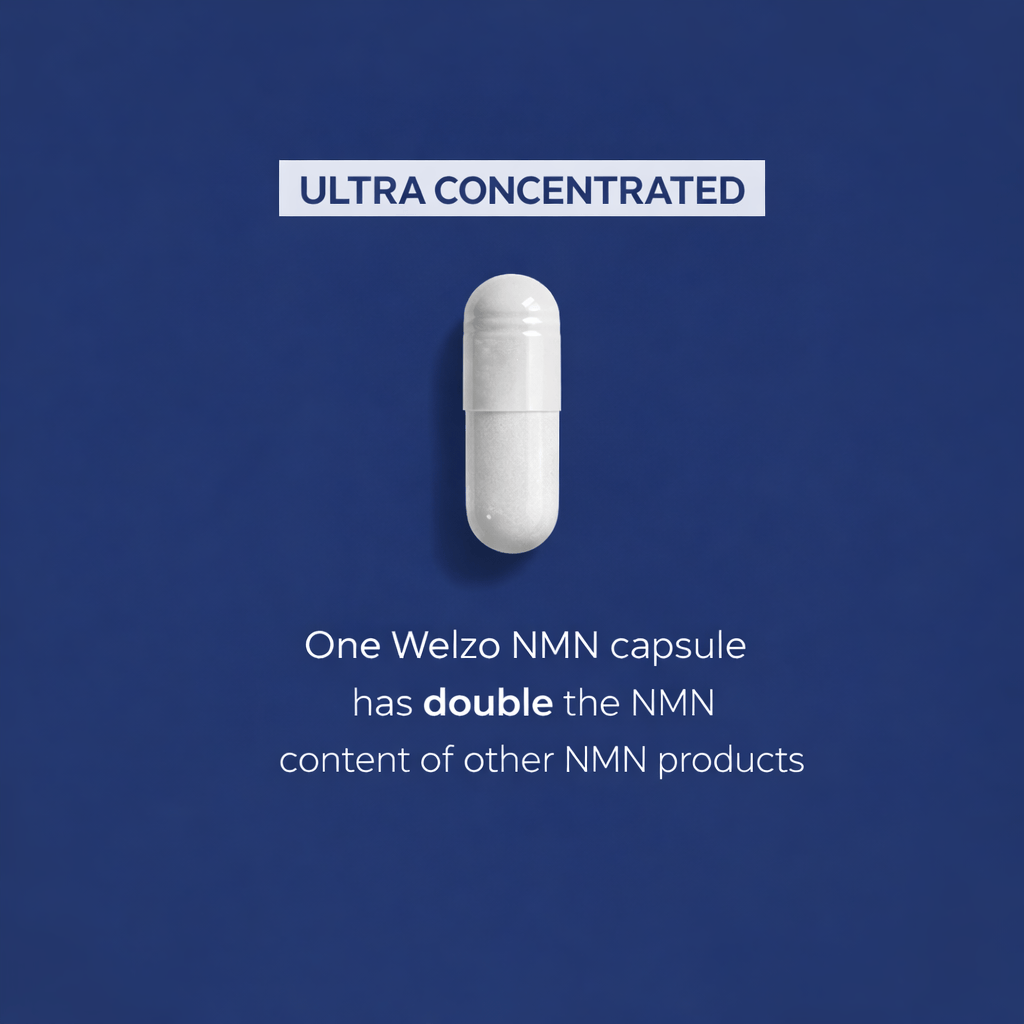 Ultra Purity Longevity Protocol Stack NMN resveratrol TMG – view 10