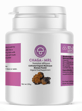 Chaga (Inonotus oblique) 250g, MRL - welzo