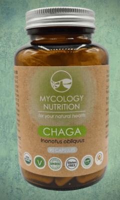 Chaga (Inonotus obliquus) 90's - Mycology Nutrition - welzo