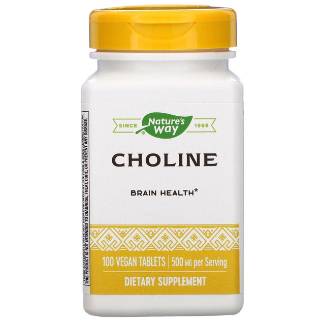 Choline 500 mg, 100 Vegan Tablets - Natures Way - welzo