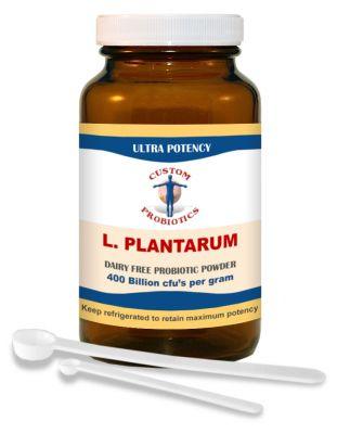 Custom Probiotics - L. Plantarum Powder 50g