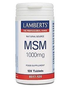 MSM 1000mg, 120 tabs - Lamberts - welzo