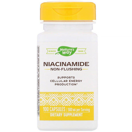 Niacinamide 500mg, 100 Capsules - Nature's Way - welzo