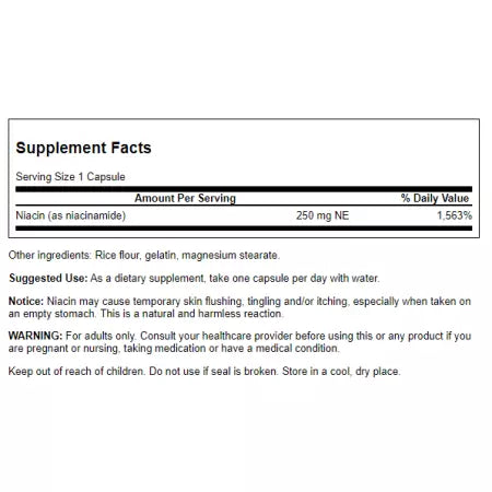 Swanson Niacinamide Capsules
